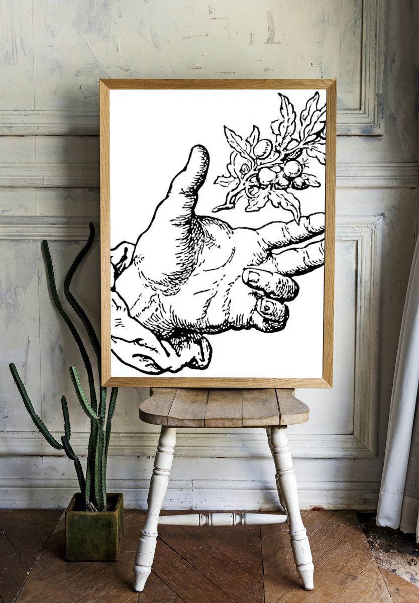Hand with Olive Branch Ink Print. room preview