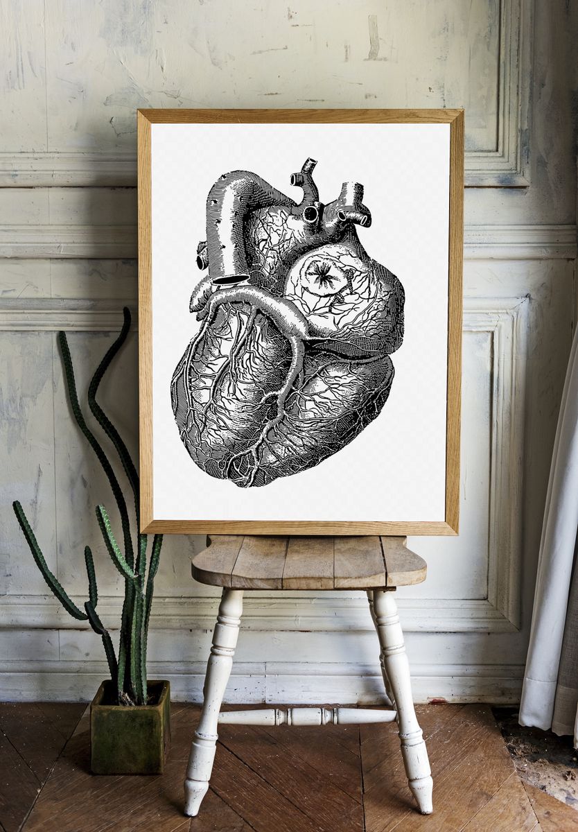 Realistic heart drawing, medical vintage. room preview