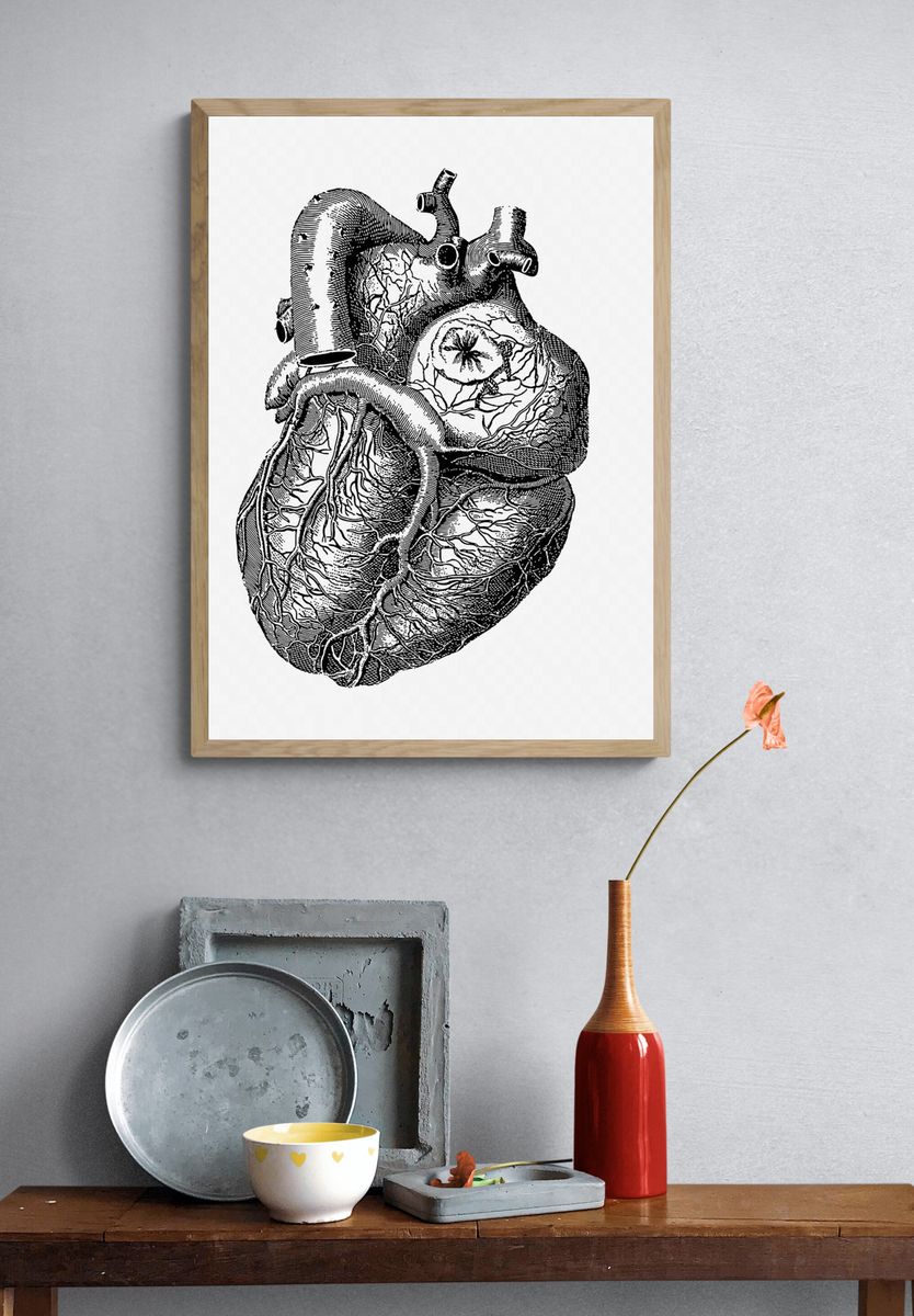 Realistic heart drawing, medical vintage. — room view 3