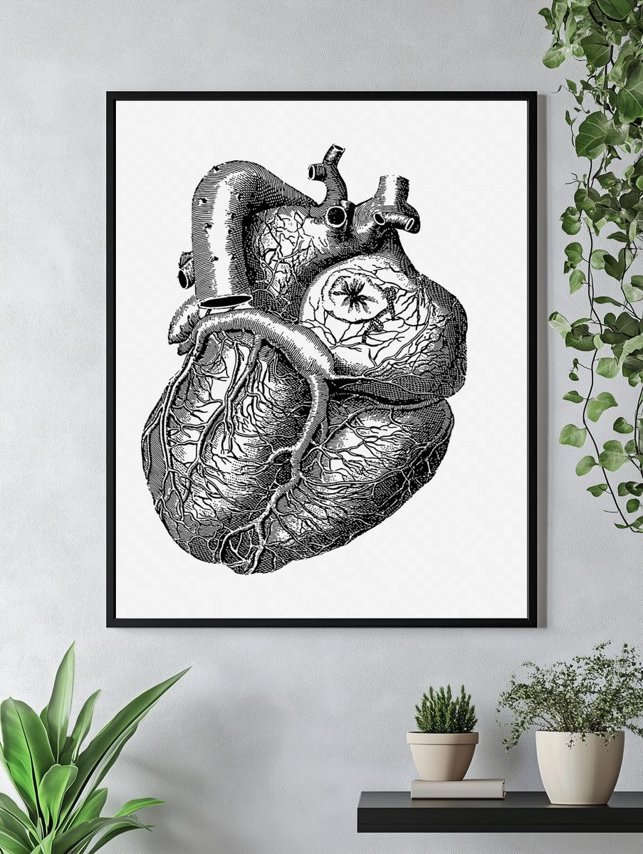 Realistic heart drawing, medical vintage. — room view 4