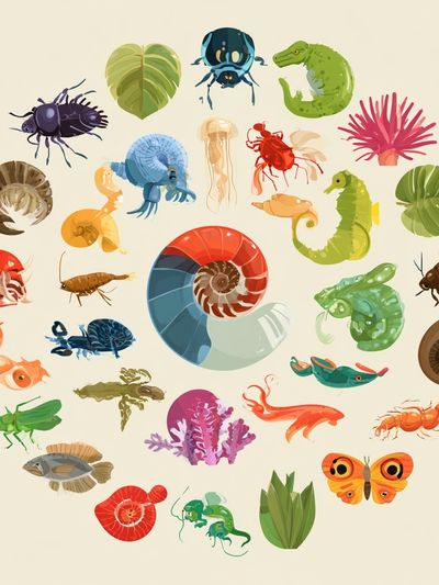 Colorful Marine Life Illustration Poster.