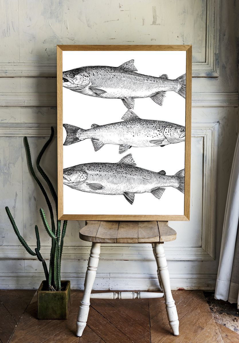 Salmon Study Illustration Poster. — room view 1