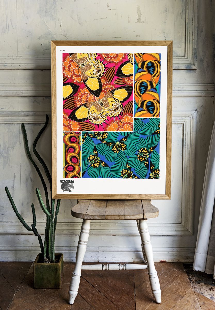 E.A. Séguy 's vintage butterflies. — room view 1