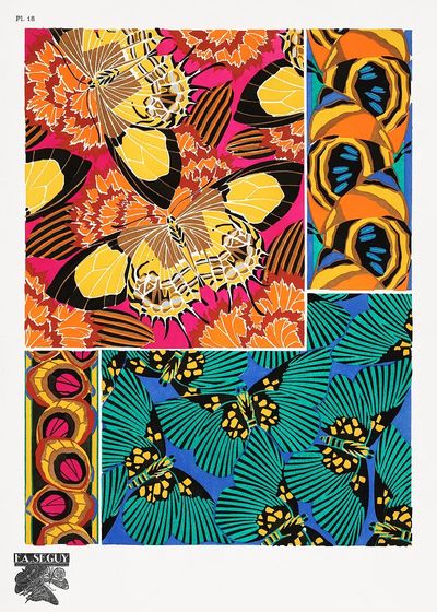 E.A. Séguy 's vintage butterflies.