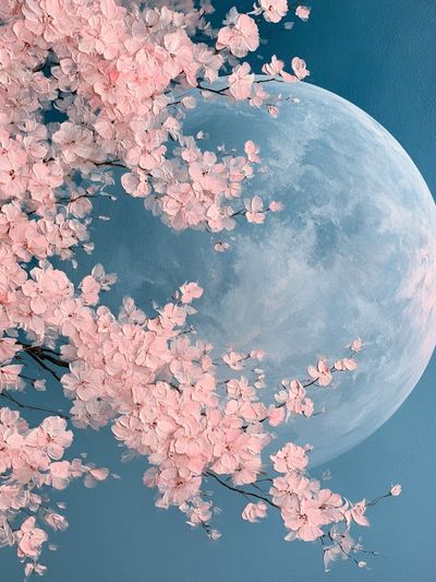 Cherry Blossom Moon Print.