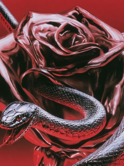 Crimson Snake Rose Illustration Poster.