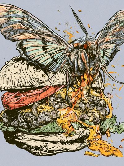 Moth Burger Illustration Poster.