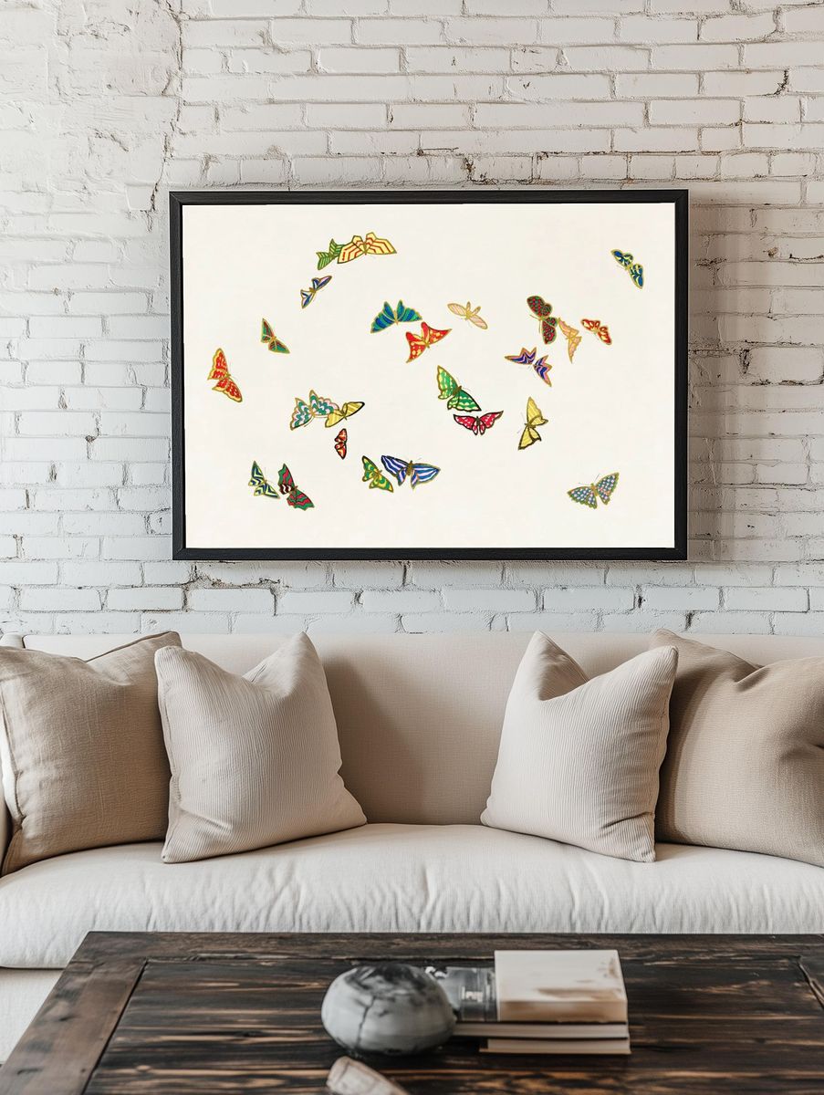 Moth Specimen Illustration Poster. room preview
