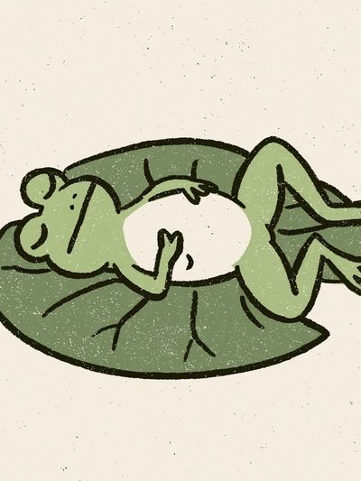 Sleeping Frog Illustration Poster. poster