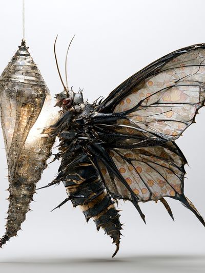 Surreal Butterfly Cocoon Print.