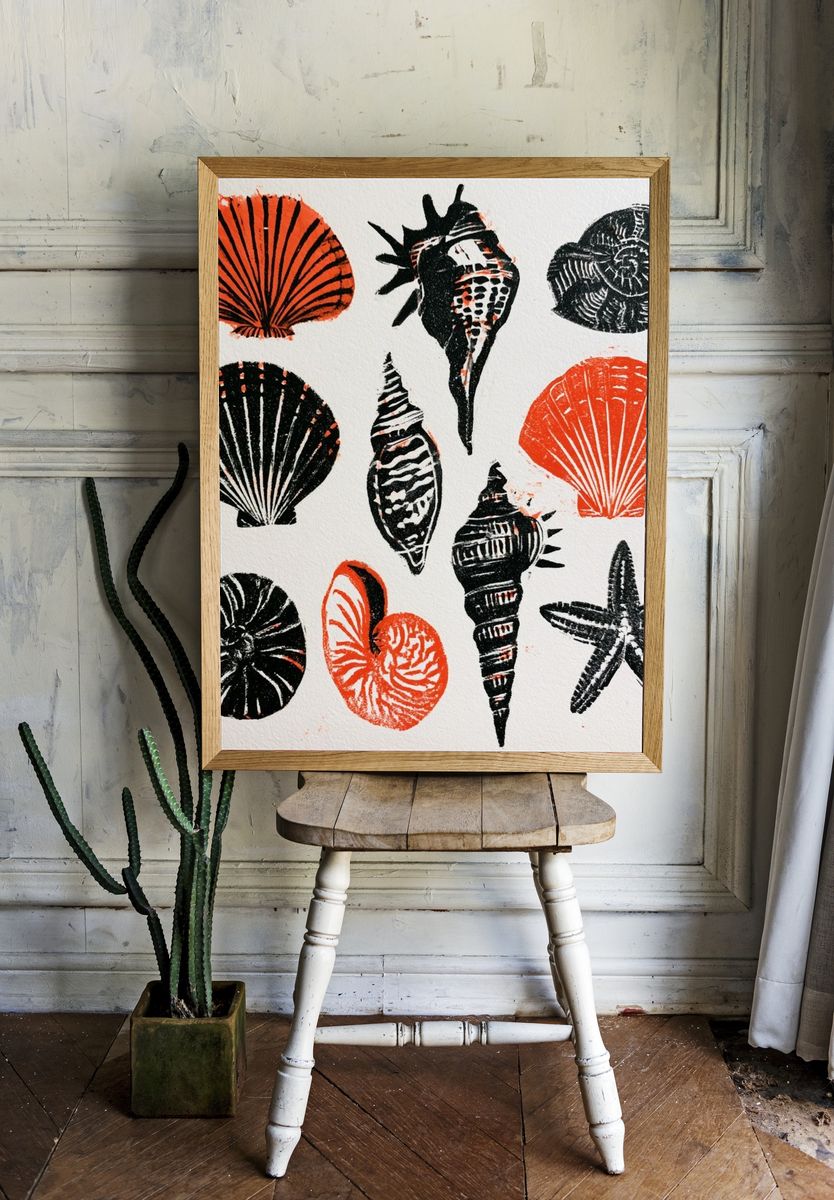 Seashell Study Illustration Poster. room preview