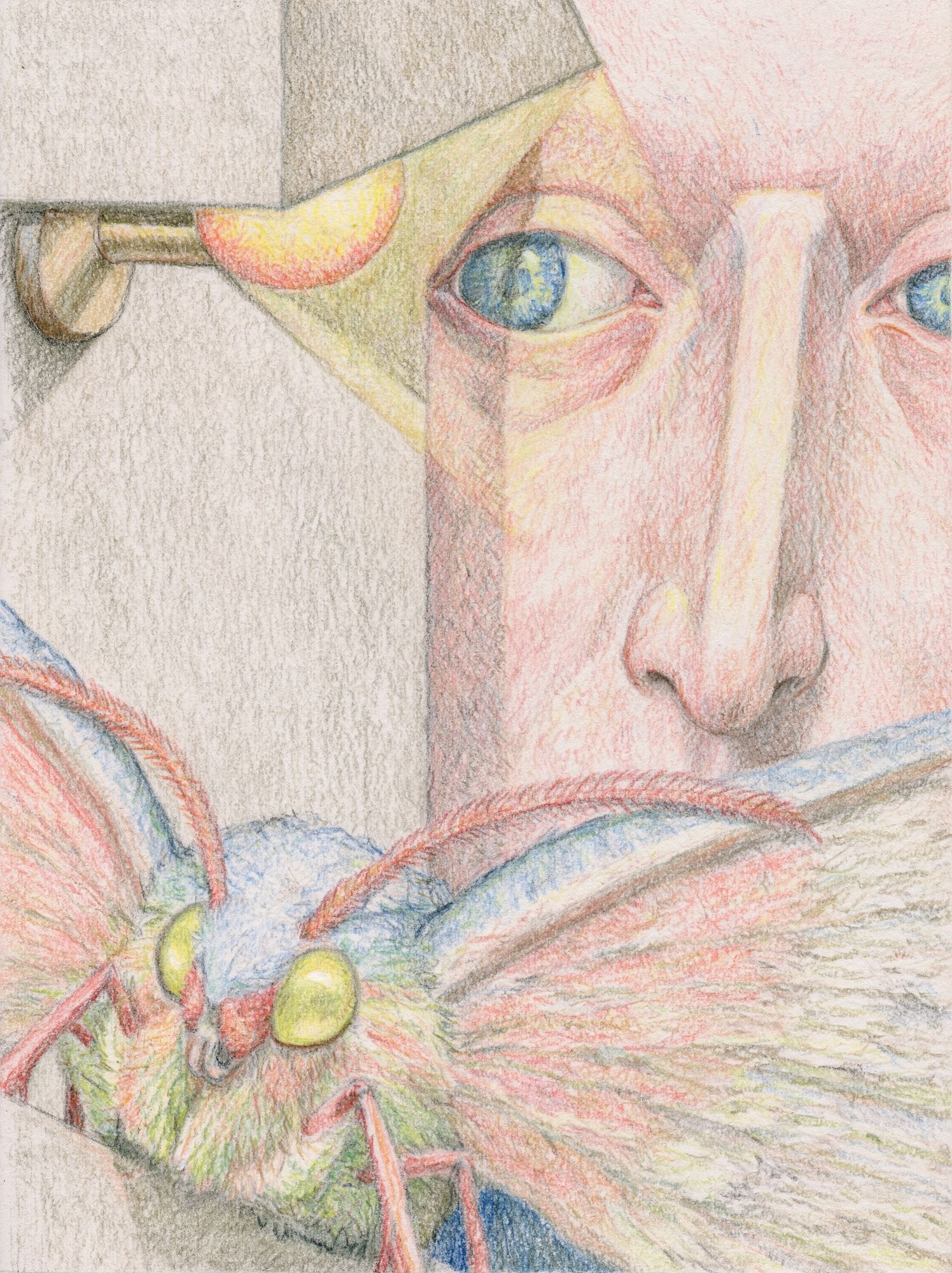 Surreal Face and Moth Illustration Poster. poster detail