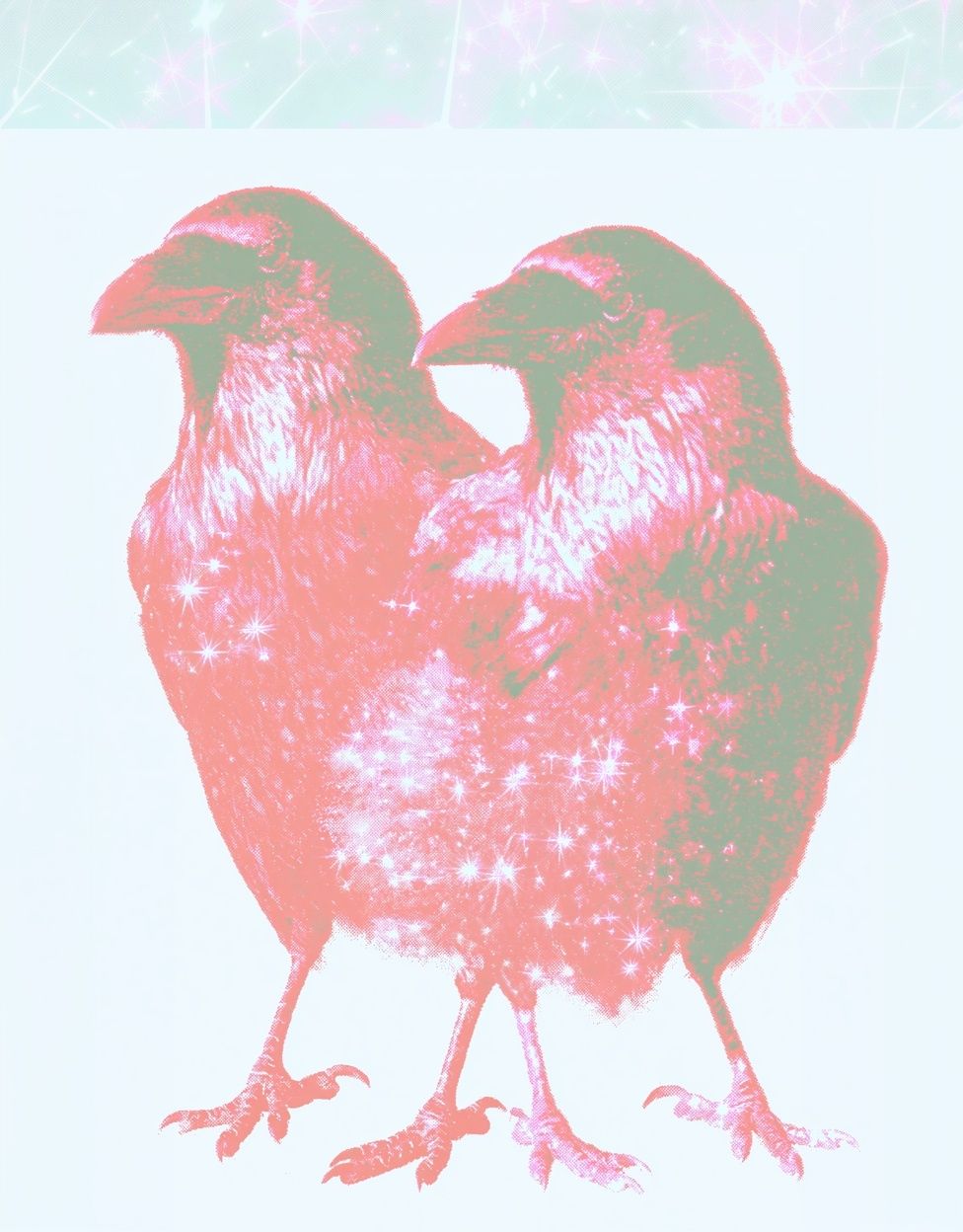 Twin Sparkle Birds Illustration Poster. poster — illustration art