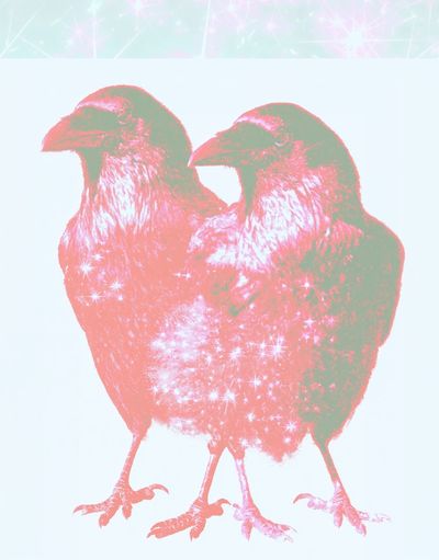 Twin Sparkle Birds Illustration Poster. poster print