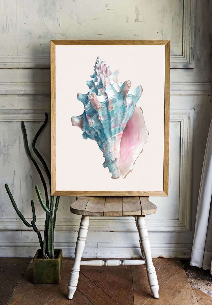 Pastel Seashell Illustration Poster. room preview