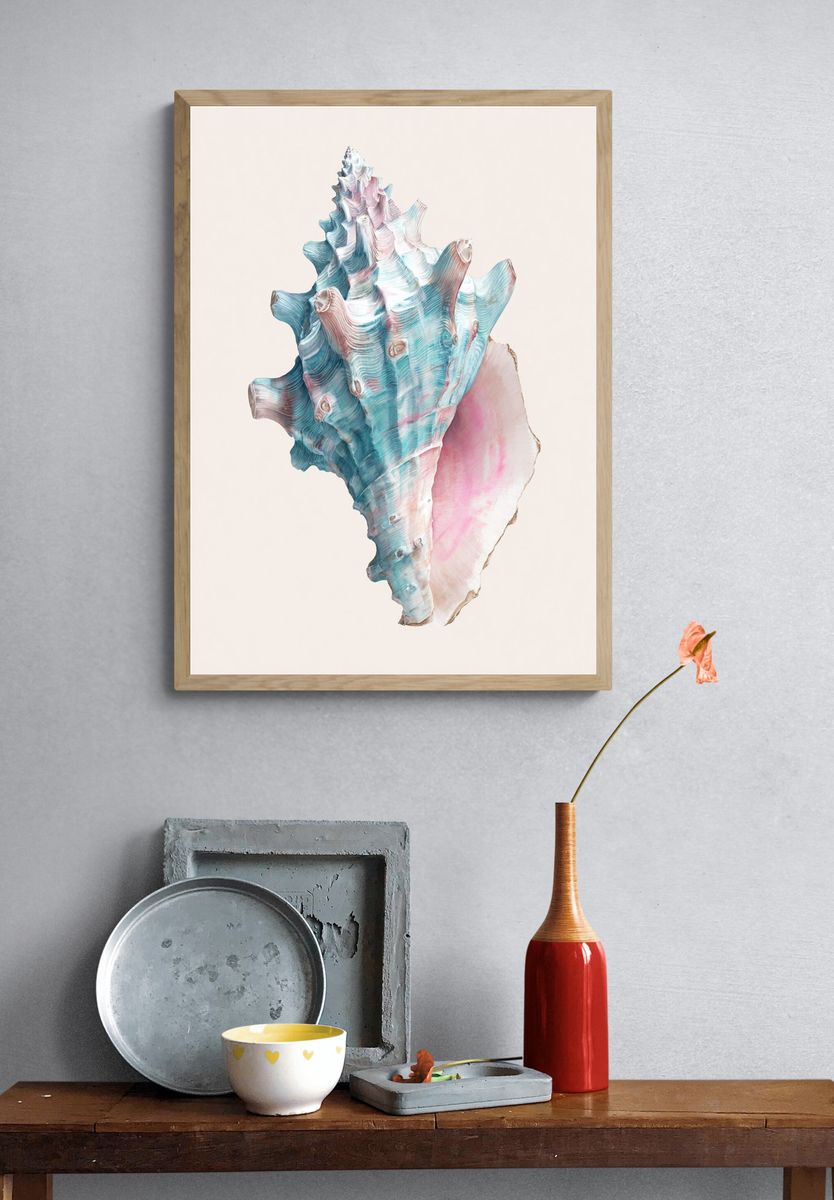 Pastel Seashell Illustration Poster. — room view 3