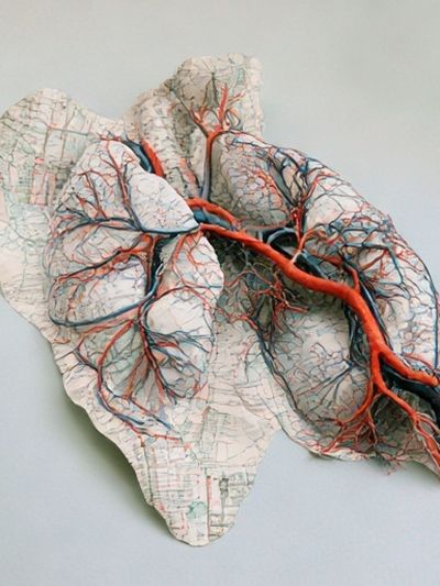Topographic Heart Anatomy Print.