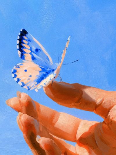 Butterfly Hand Study Illustration Poster. poster