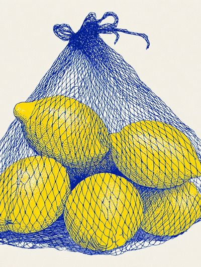 Lemons in Mesh Bag Illustration Poster.