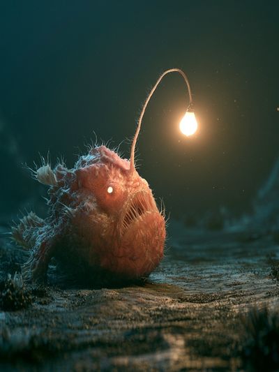 Anglerfish Underwater Illustration Poster.