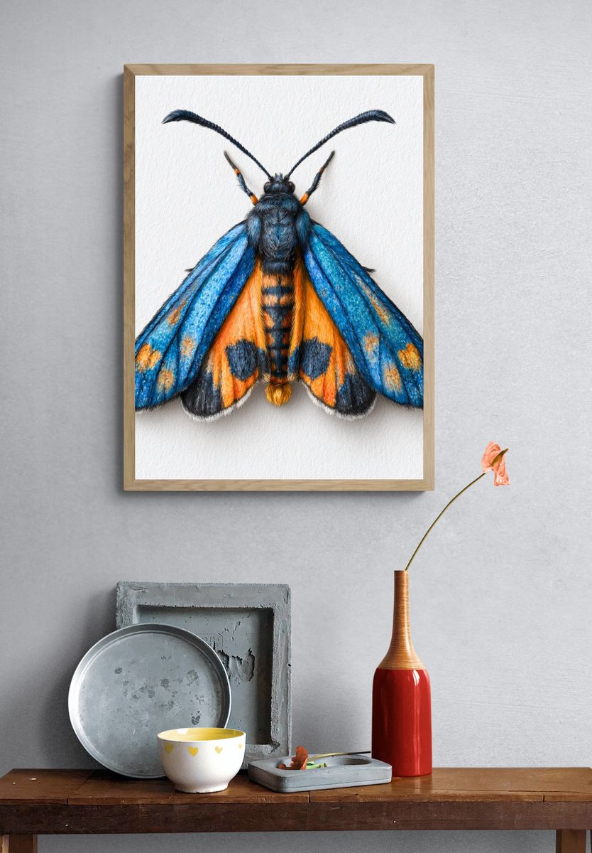 Blue Moth Illustration Poster. — room view 3