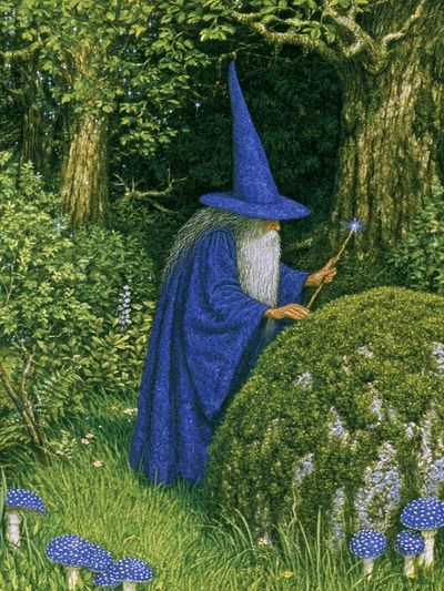 Wizard in Enchanted Forest Poster.