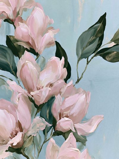 Pink Magnolia Bloom Illustration Poster.