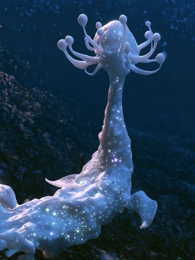 Celestial Coral Fantasy Print. poster