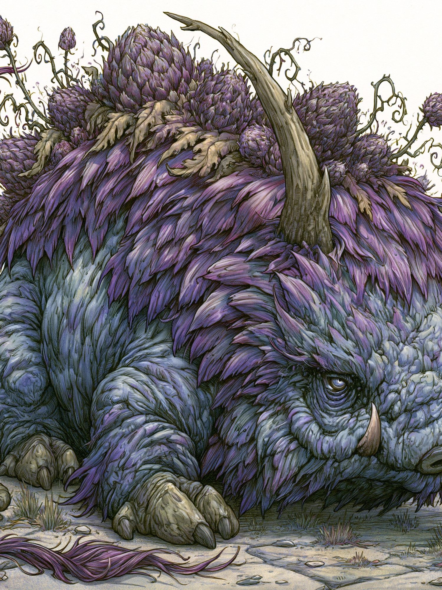 Fantasy Boar Illustration Poster. poster — illustration art