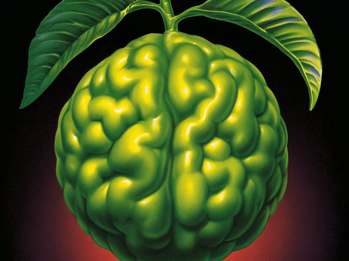 Surreal Green Brain Fruit Poster. poster detail