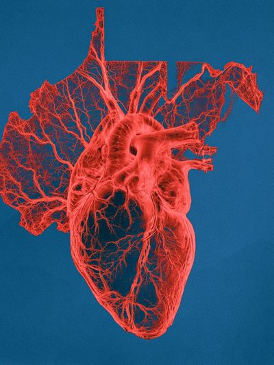 Anatomical Heart Digital Art Print.
