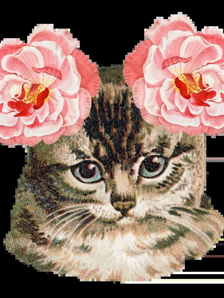 Hand drawn cute cat ever-blowing. poster — illustration art