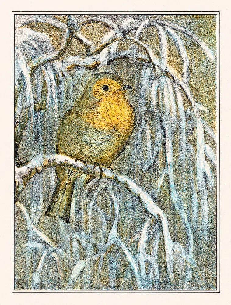 Roodborstje op besneeuwde boomtak (1878–1910). poster — illustration art