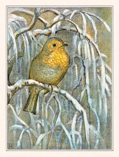 Roodborstje op besneeuwde boomtak (1878–1910).