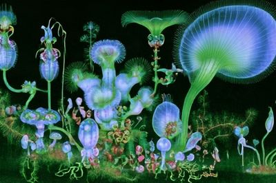 Bioluminescent Fungi Illustration Poster. poster