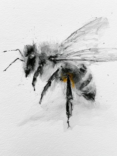 Watercolor Bee Illustration Poster. poster