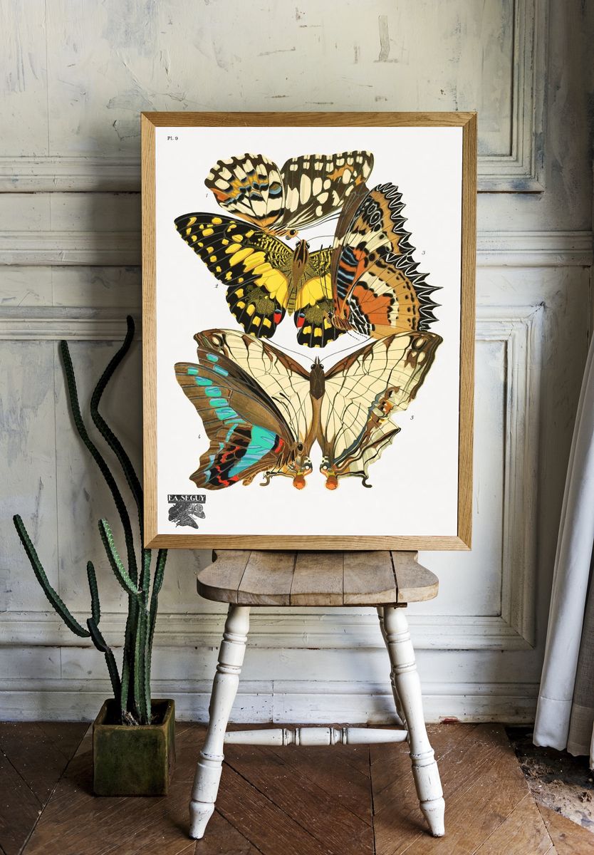 Butterfly Study Vintage Print. — room view 1