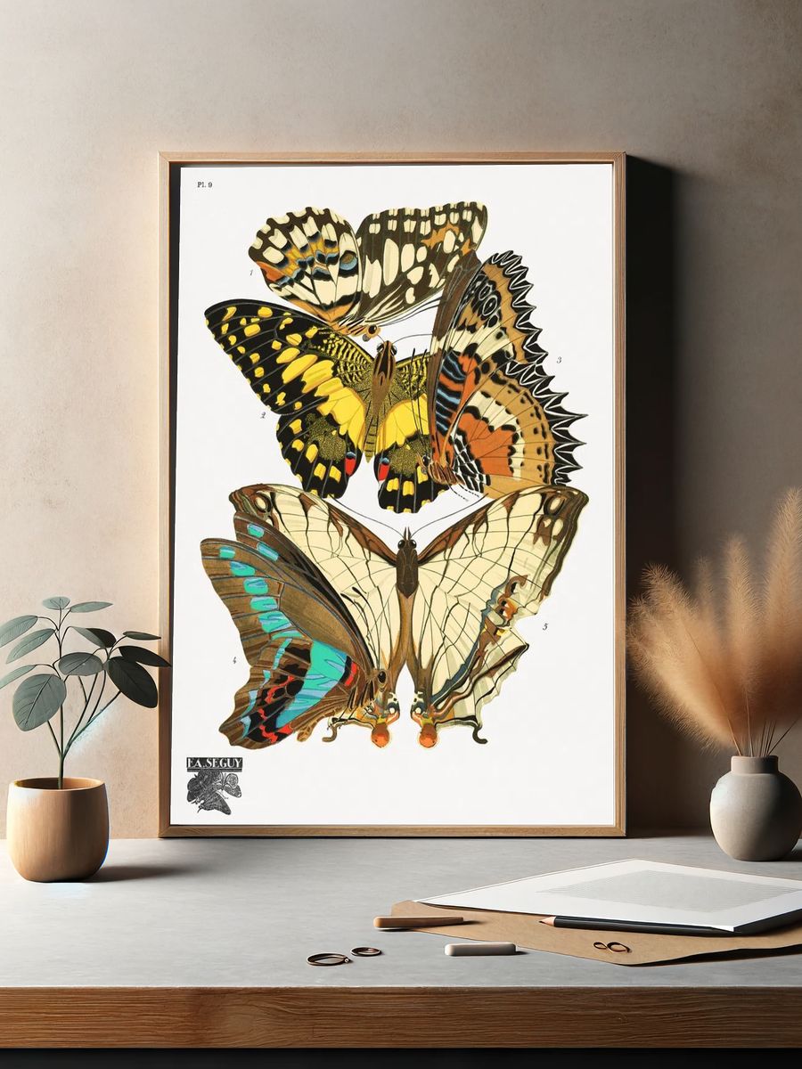 Butterfly Study Vintage Print. — room view 2