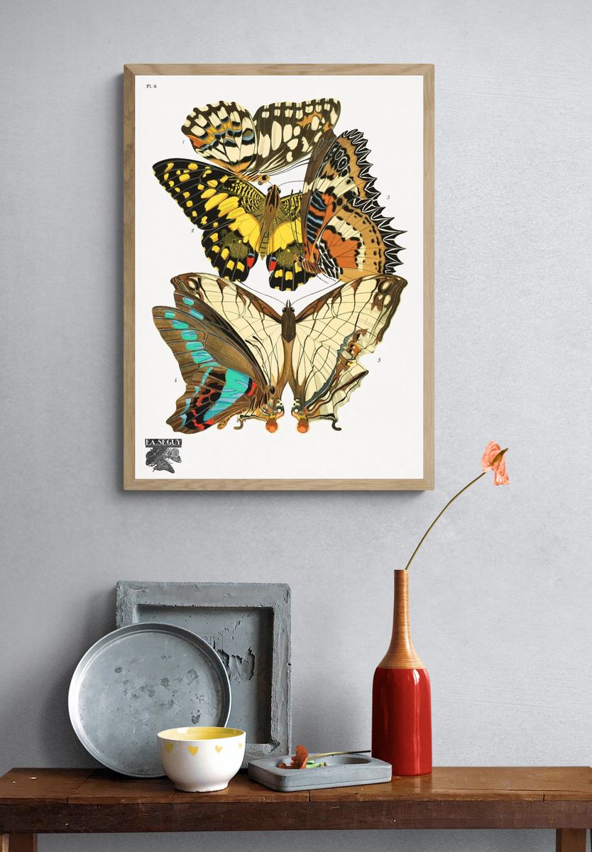 Butterfly Study Vintage Print. — room view 3