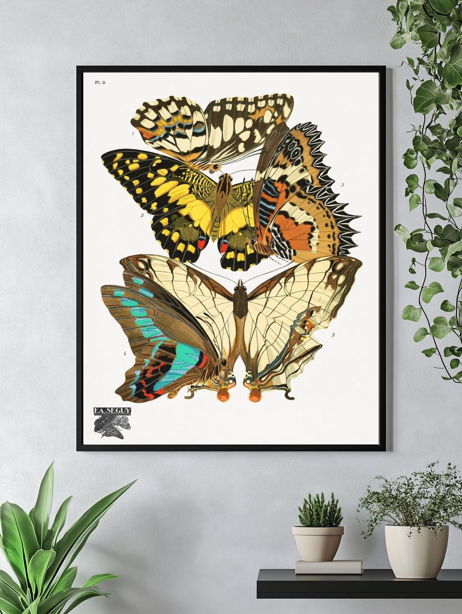 Butterfly Study Vintage Print. — room view 4