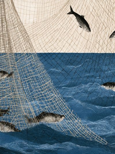 Fishing Net and Fish Illustration Poster.