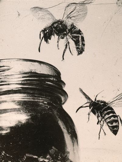 Bees and Jar Ink Poster.