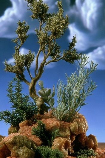 Miniature Tree Landscape Illustration Poster. poster detail