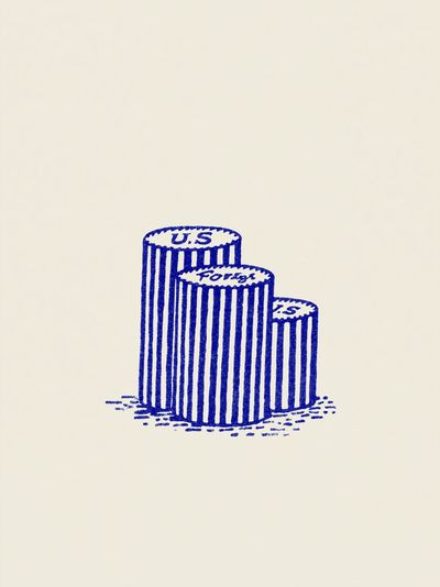 U.S. Forest Stumps Illustration Poster.