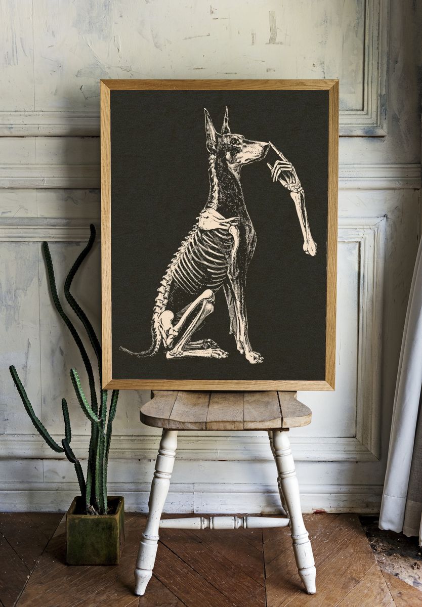Anatomical Dog Skeleton Illustration Poster. room preview