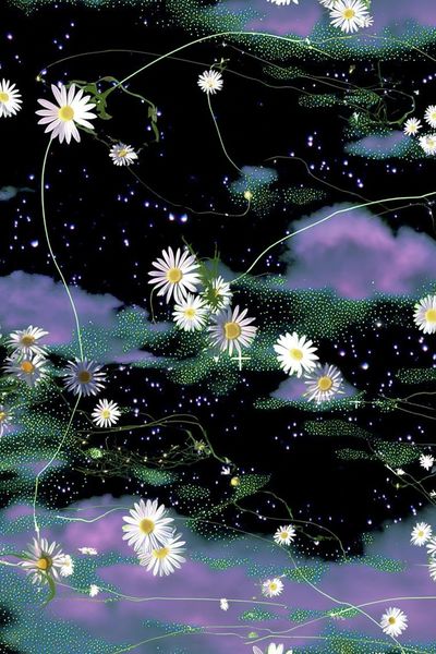 Cosmic Daisy Garden Illustration Poster. poster