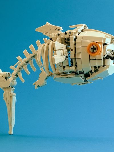 LEGO Fish Skeleton Illustration Print. poster