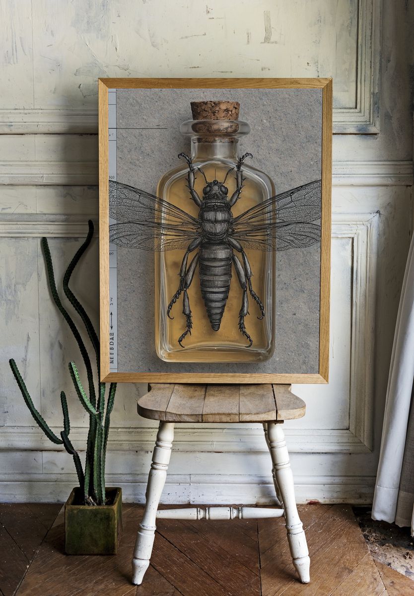 Entomology Bottle Illustration Poster. — room view 1