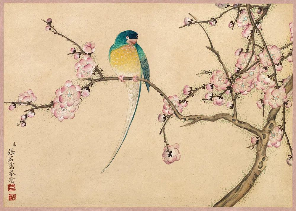 Bird Plum Blossoms (18th Century). poster detail