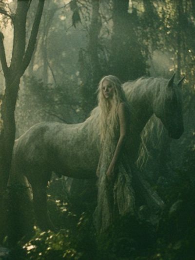 Enchanted Forest Horse Illustration Poster.